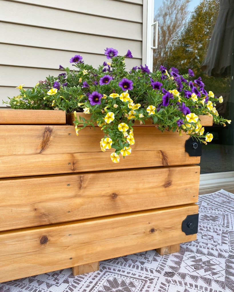 Closeup of Bench Planter with New Oil on it and Flowers in it