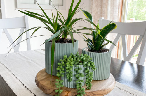 fluted planters and plant riser